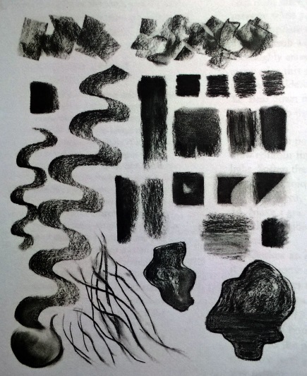 Charcoal sampler photo