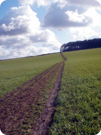 Muddy and hilly - it's not London!