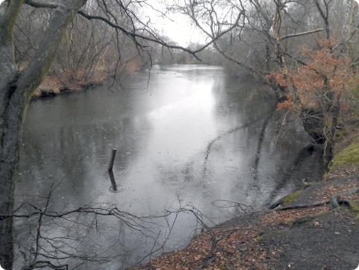 Fish Pond - maybe there are fish here?